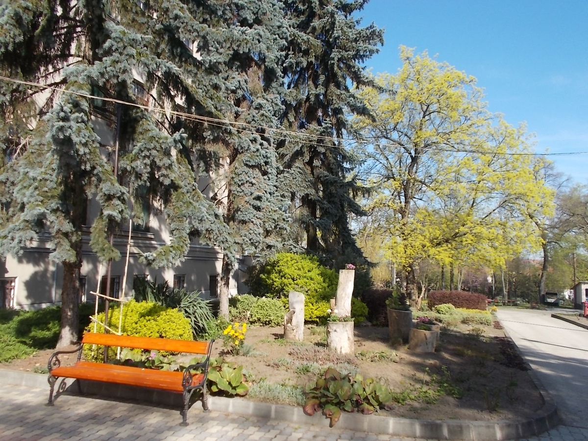 2015 Tavaszi dolgozói kertészkedés